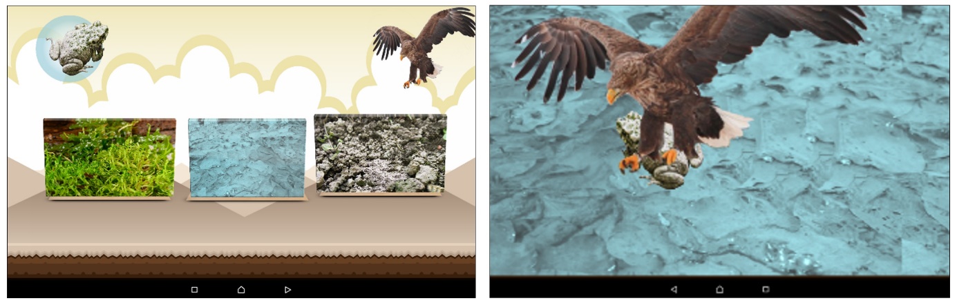 Imagen que contiene animal, ave rapaz, pájaro, interior  Descripción generada automáticamente