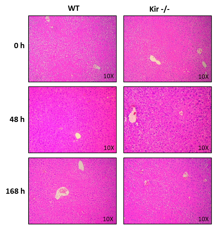 Una pantalla de una ventana  Descripción generada automáticamente