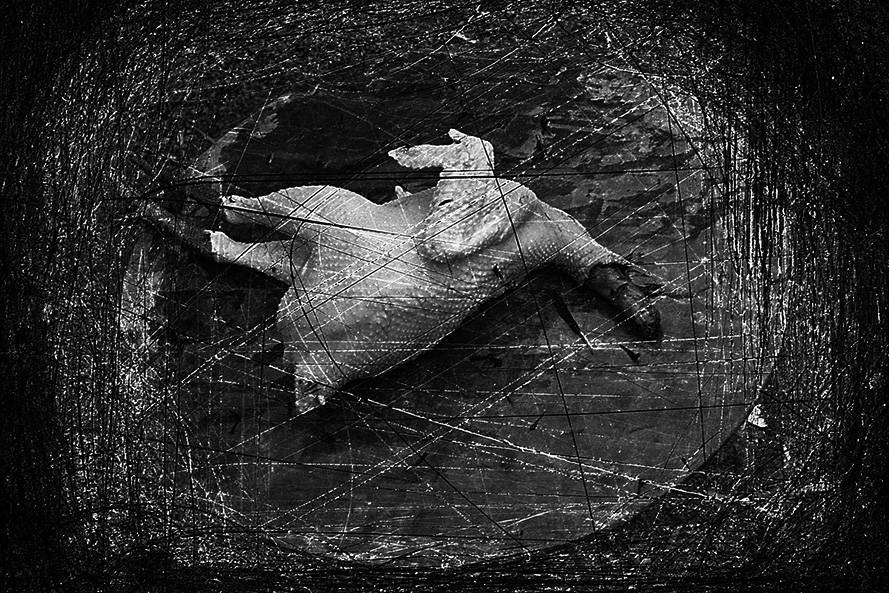 A picture containing outdoor Description automatically generated