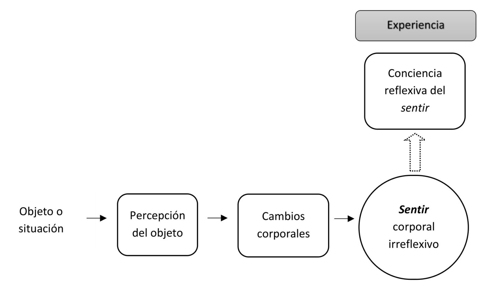 El cuerpo | De qué hablamos cuando hablamos de emoción