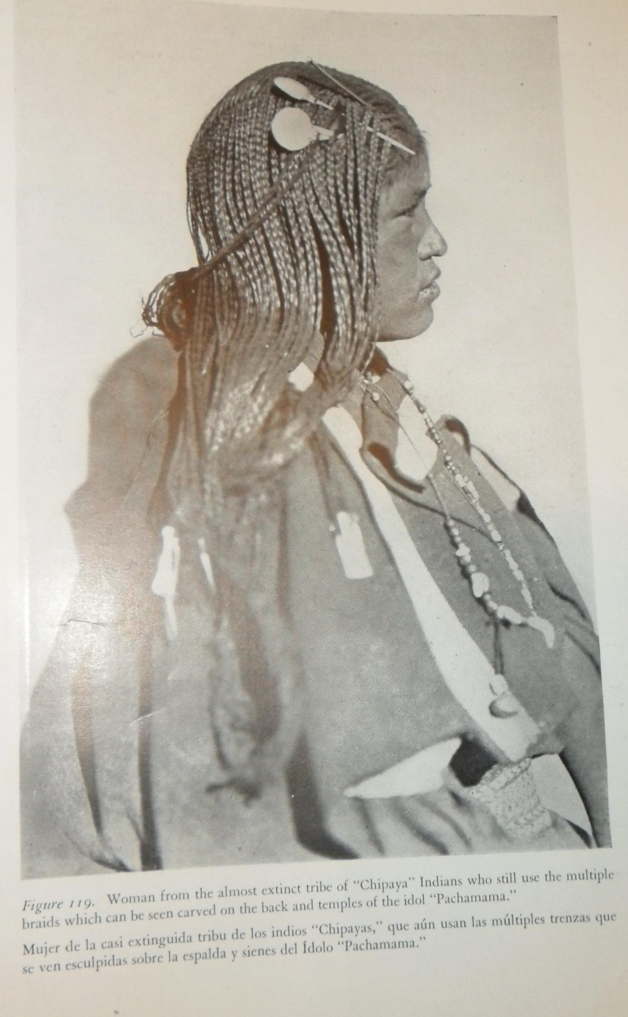 Descripción: SAM_3717