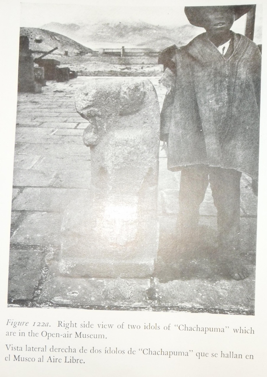 Descripción: SAM_3718