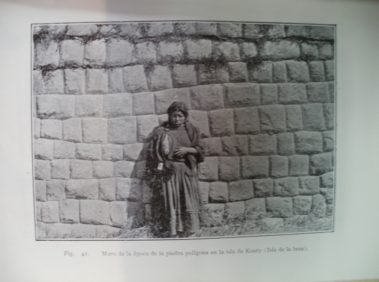 Descripción: P2210184