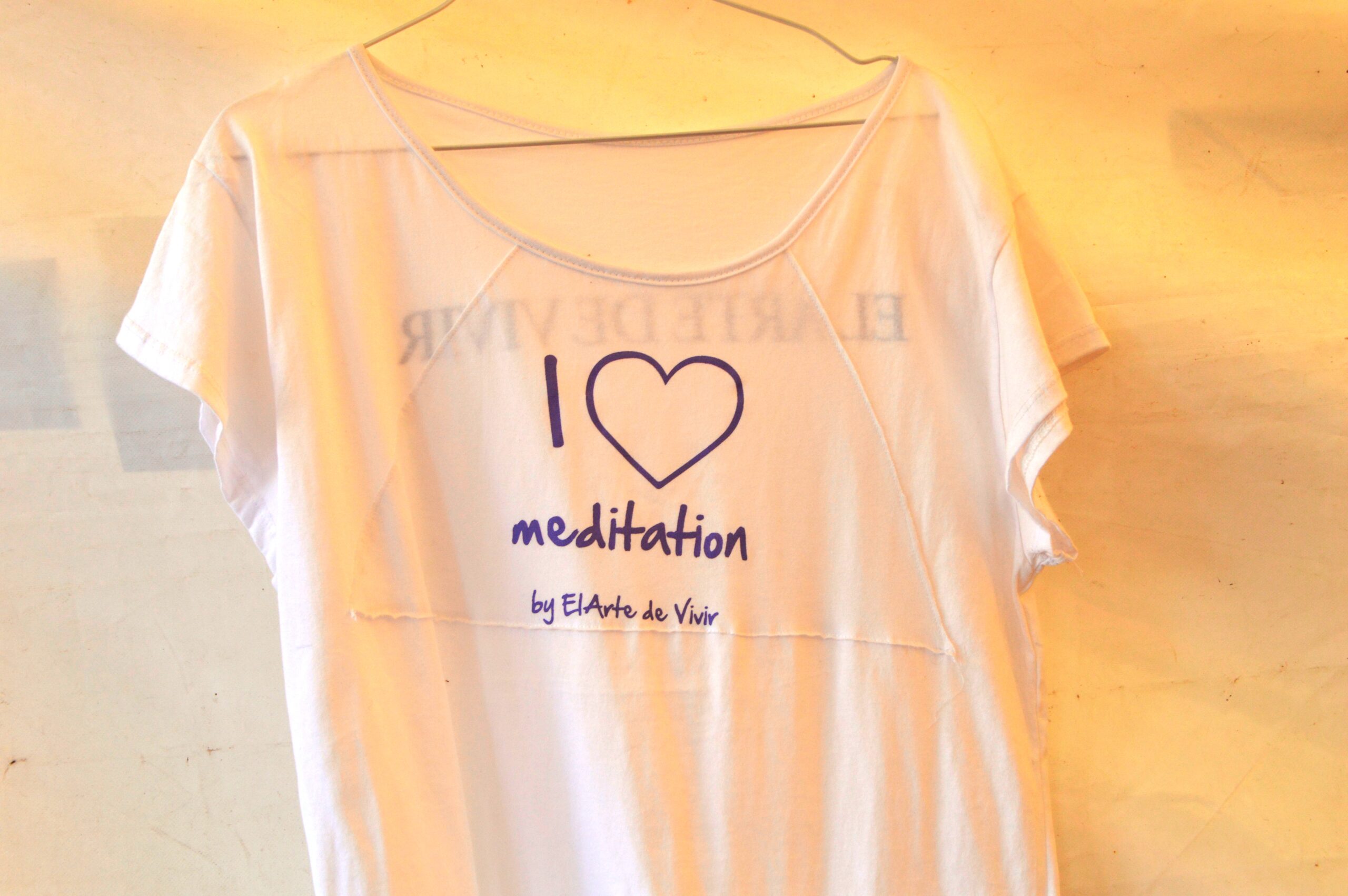 C:UsersusuarioDesktopDoctoradoTesisimagenes y publicidades tesisfoto 3 america medita 2015.JPG