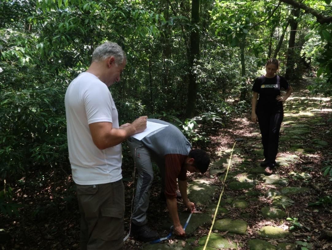 Uma imagem contendo árvore, ao ar livre, pessoa, chão Descrição gerada automaticamente