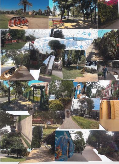 Imagen que contiene árbol, exterior  Descripción generada automáticamente