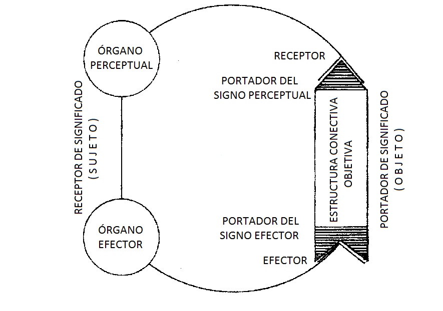 Fig 2_Funktionkreis.jpg