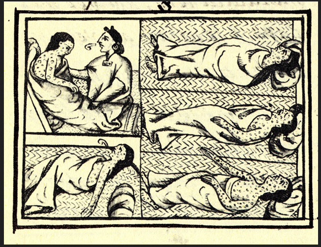 El culpable de la epidemia que diezmó el norte de América en el siglo XVI