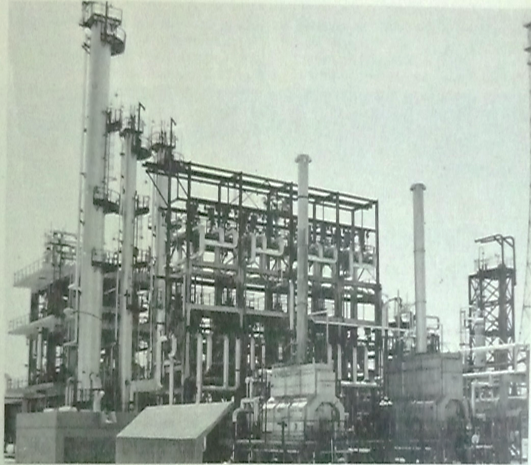 C:UsersJuanDesktopPetroquímica - FOTOSFotosCDI - MeconTemas1984-31 (4).JPG