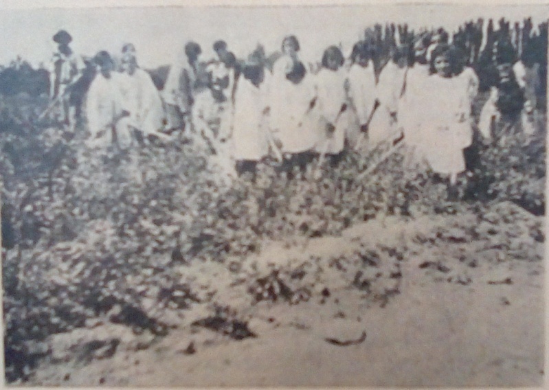 Descripción: IMG_20190610_102054