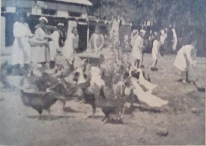 Descripción: IMG_20190610_102112