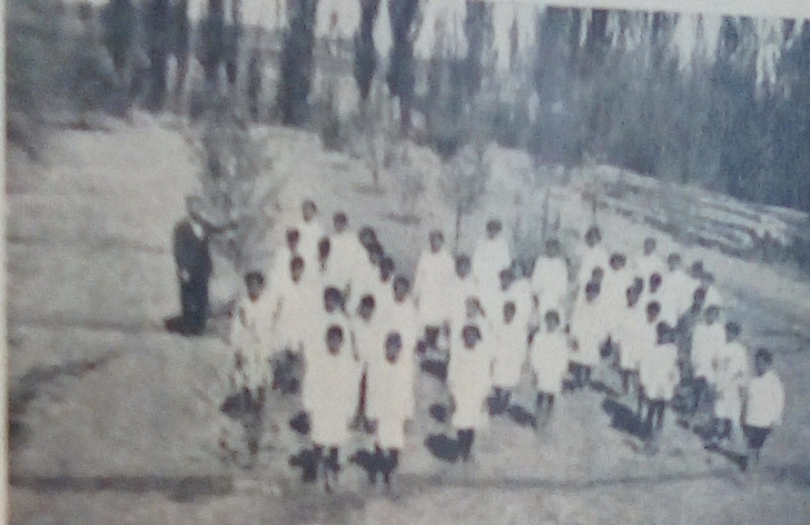 Descripción: IMG_20190610_102436