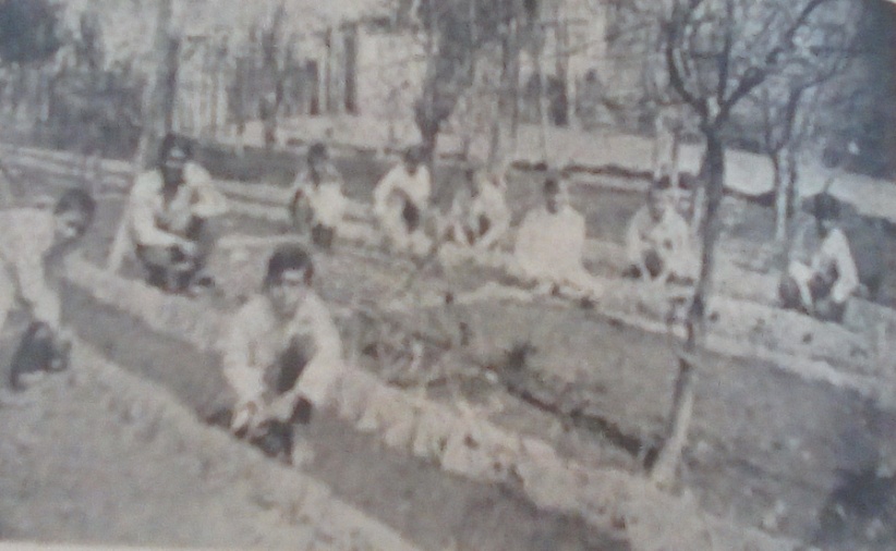 Descripción: IMG_20190610_103519